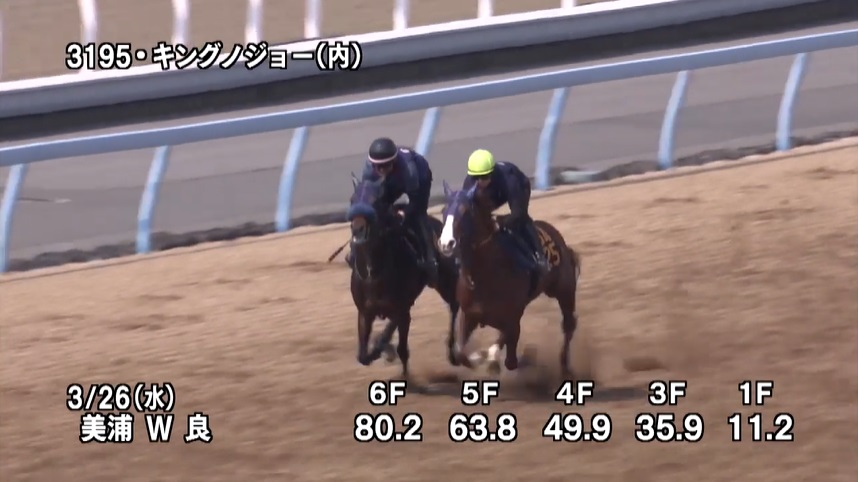 毎日杯2025 追い切り