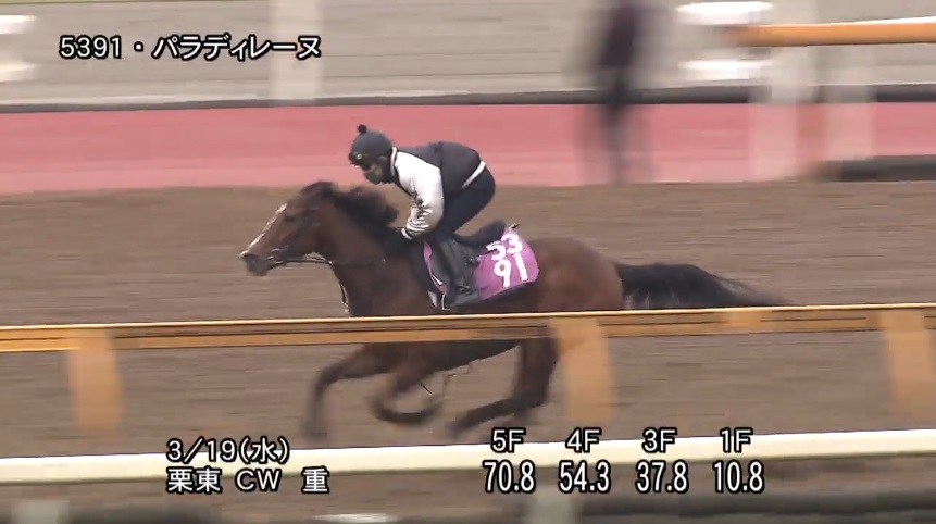 フラワーカップ2025 追い切り