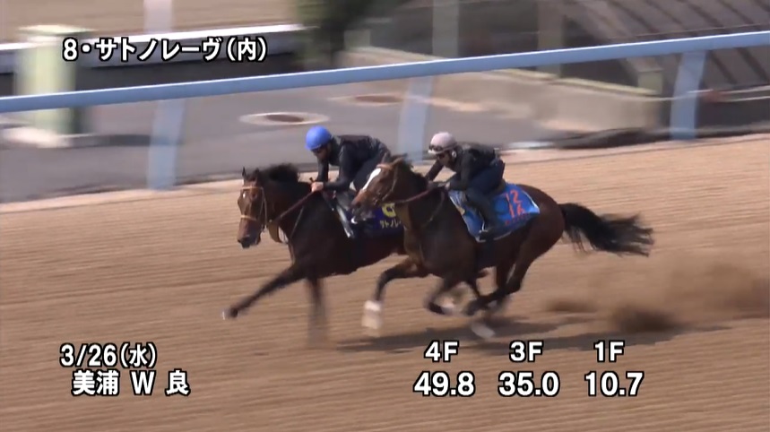 高松宮記念2025 追い切り