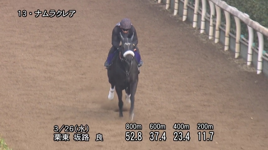 高松宮記念2025 追い切り