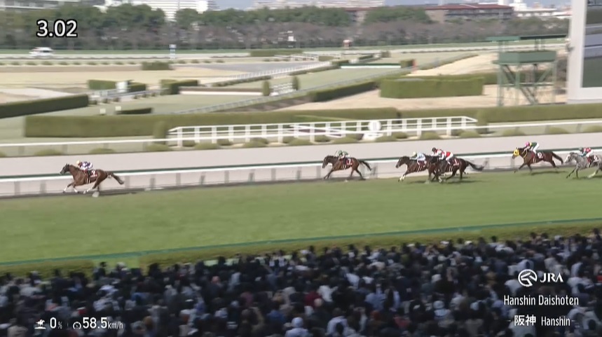 阪神大賞典2025 サンライズアース