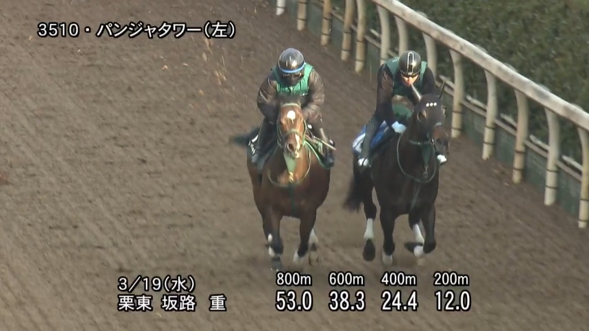 ファルコンステークス2025 追い切り