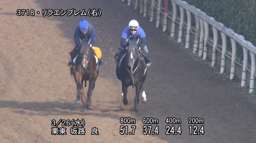 毎日杯2025 追い切り