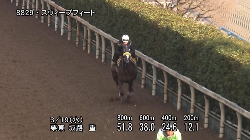 愛知杯2025 追い切り