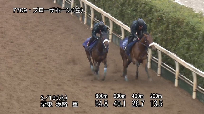阪神大賞典2025 追い切り