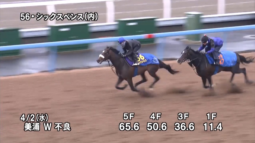 大阪杯2025 追い切り