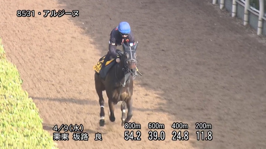 阪神牝馬ステークス2025 追い切り