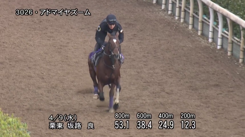ニュージーランドトロフィー2025 追い切り