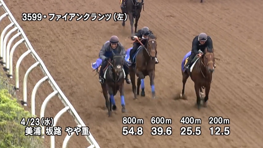 青葉賞2025 追い切り