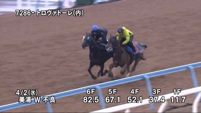 ダービー卿CT 2025 追い切り