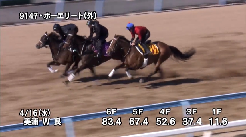 福島牝馬ステークス2025 追い切り