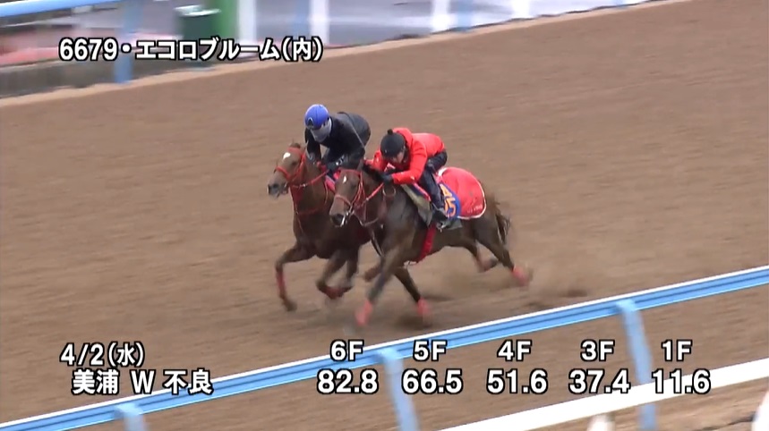ダービー卿CT 2025 追い切り