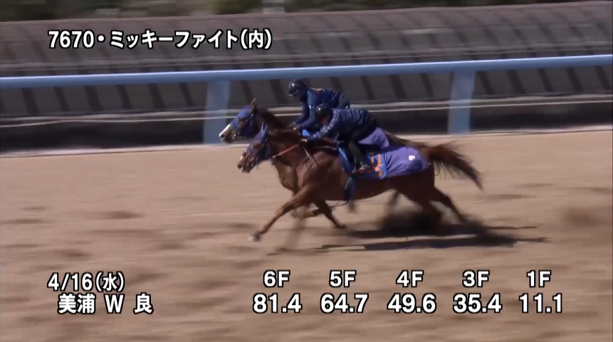 アンタレスステークス2025 追い切り