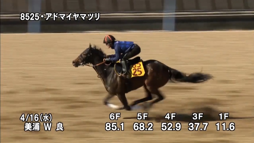 福島牝馬ステークス2025 追い切り