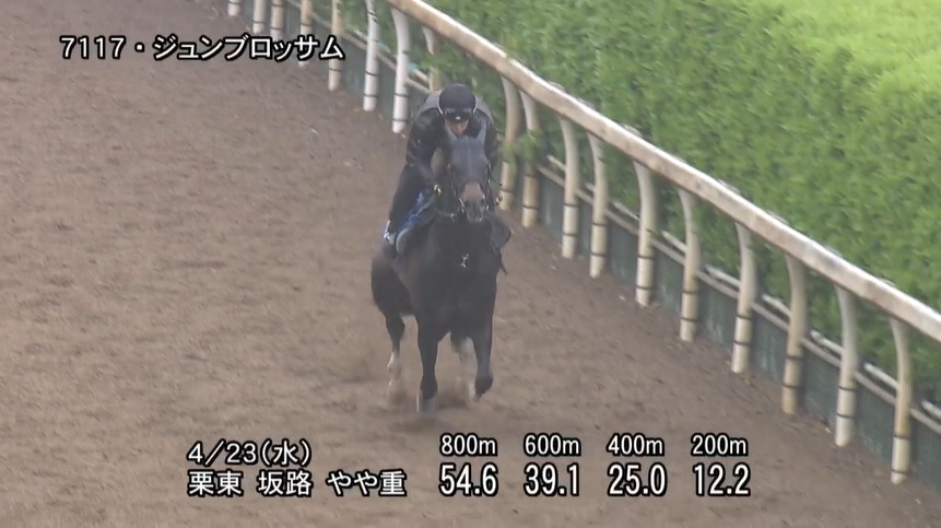マイラーズカップ2025 追い切り