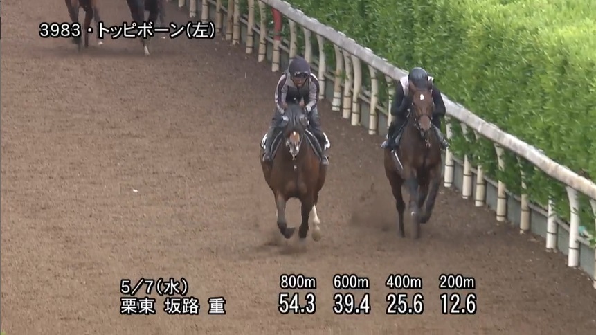 京都新聞杯2025 追い切り