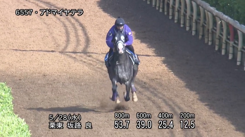 目黒記念2025 追い切り