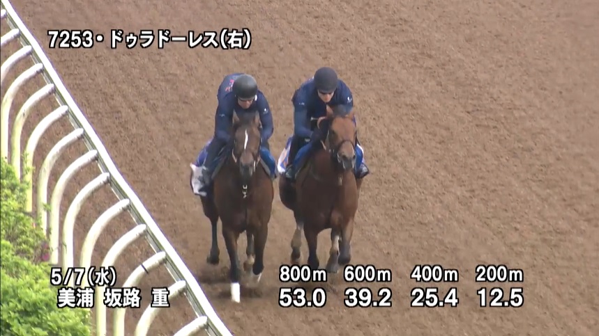 エプソムカップ2025 追い切り