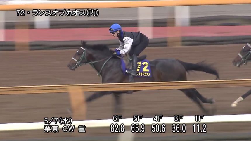 NHKマイルカップ2025 追い切り