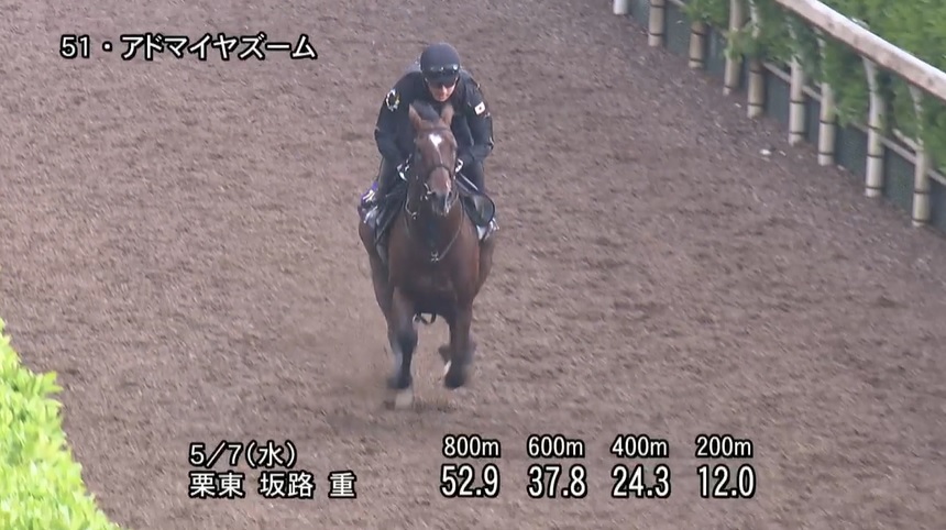 NHKマイルカップ2025 追い切り