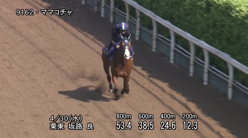 京王杯スプリングカップ2025 追い切り