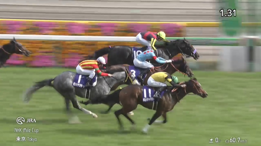 NHKマイルカップ2025 パンジャタワー
