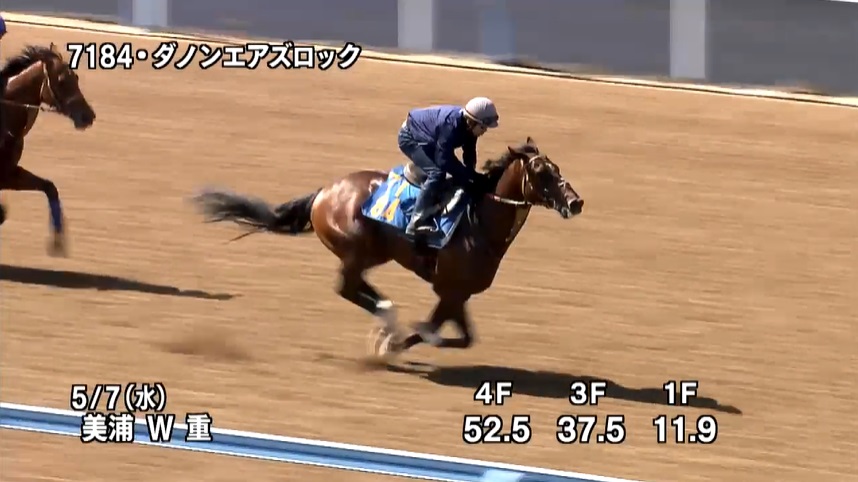 エプソムカップ2025 追い切り