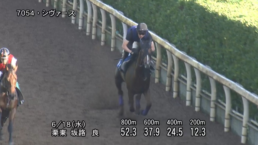 しらさぎステークス2025 追い切り
