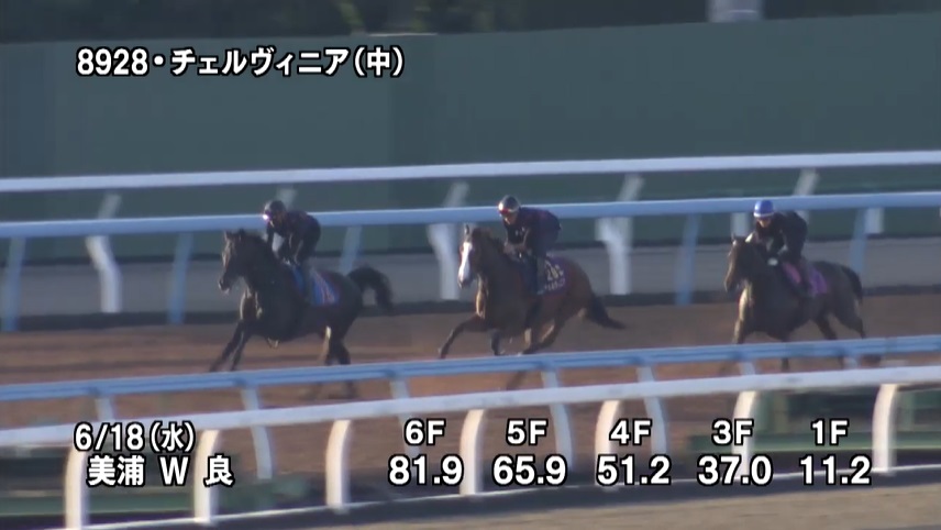 しらさぎステークス2025 追い切り