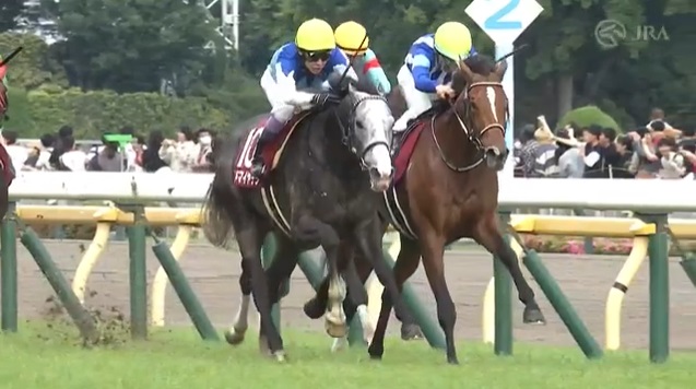 目黒記念2025 アドマイヤテラ