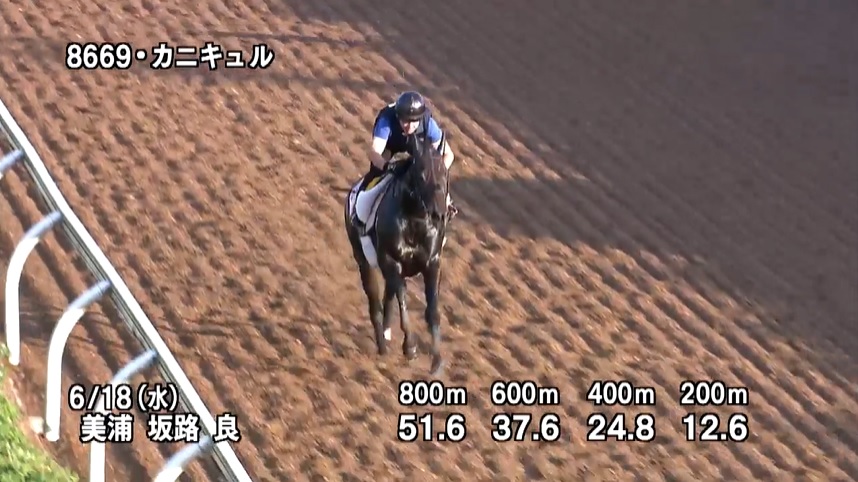 府中牝馬ステークス2025 追い切り