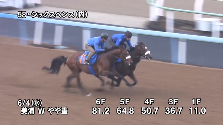 安田記念2025 追い切り