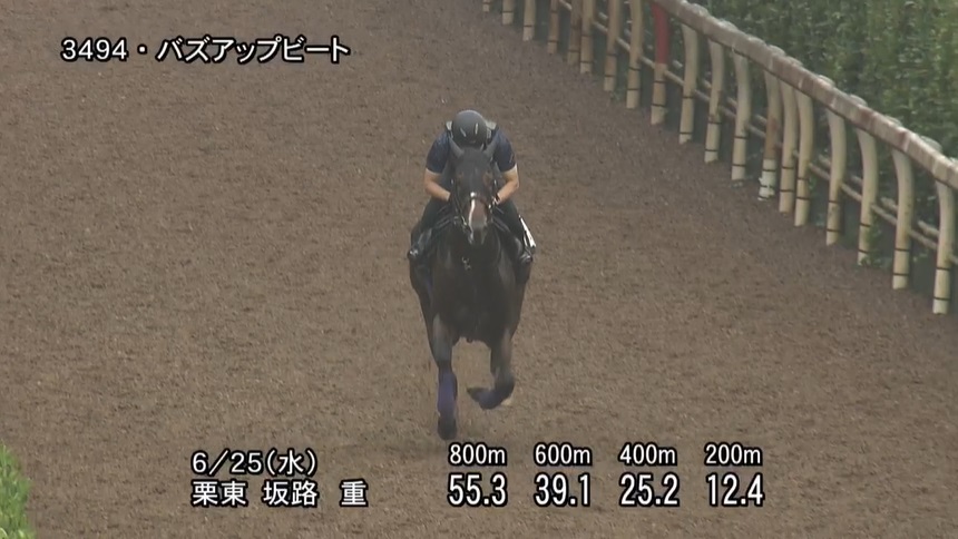 ラジオNIKKEI賞2025 追い切り
