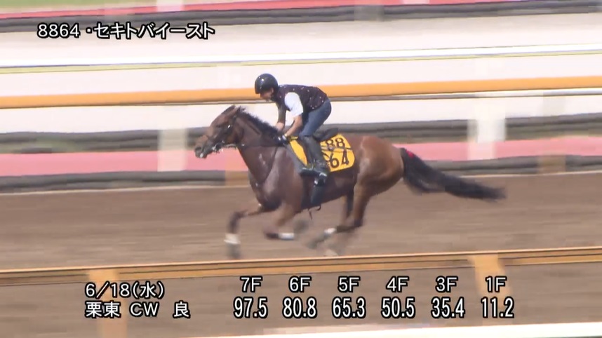 府中牝馬ステークス2025 追い切り