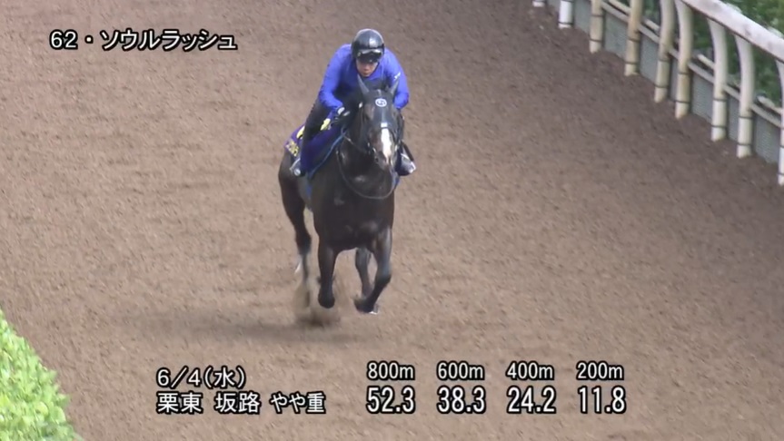 安田記念2025 追い切り