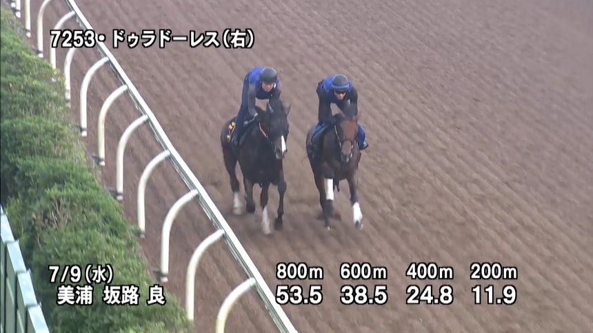 七夕賞2025 追い切り
