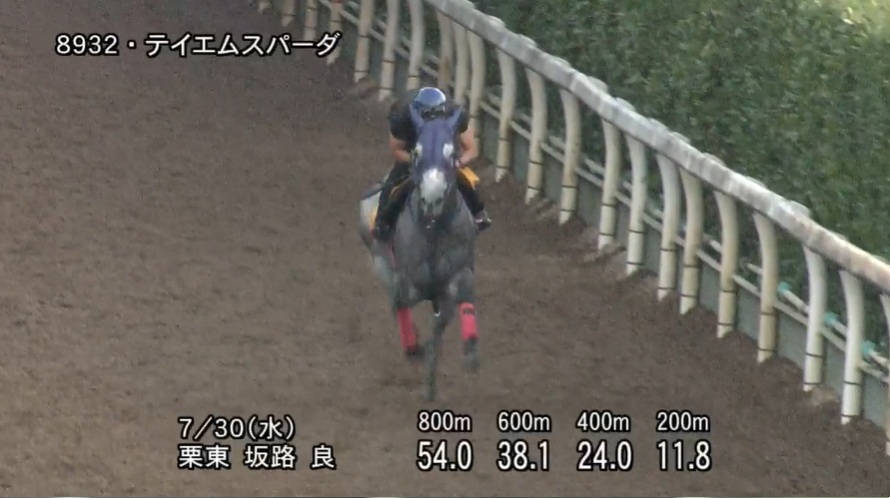 アイビスサマーダッシュ2025 追い切り