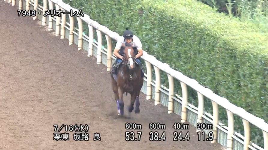 小倉記念2025 追い切り