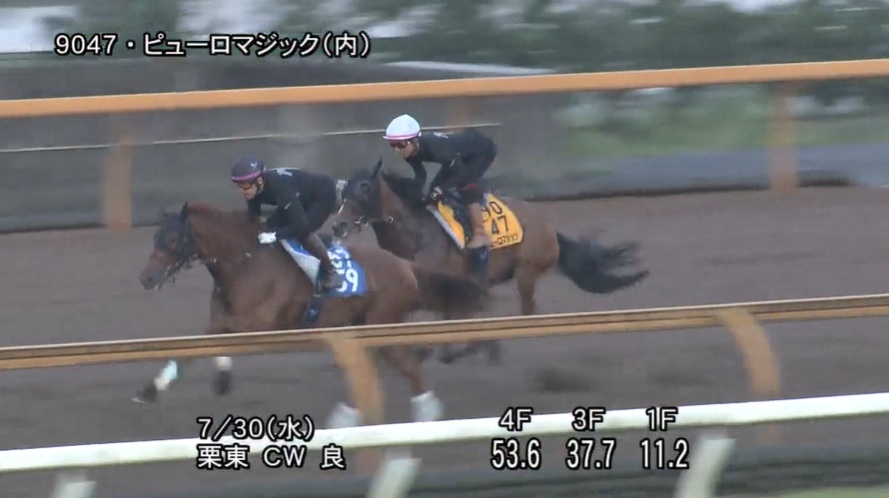 アイビスサマーダッシュ2025 追い切り
