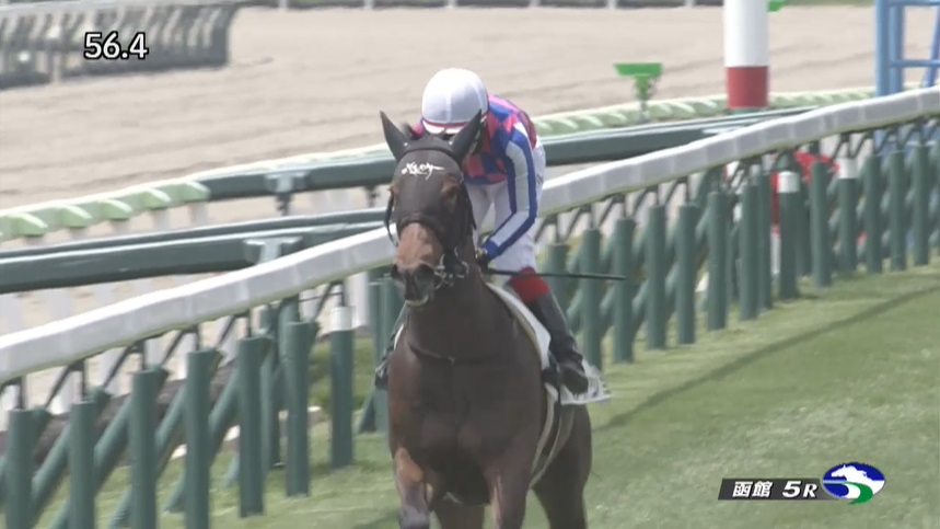 函館2歳ステークス2025 出走予定馬 カイショー