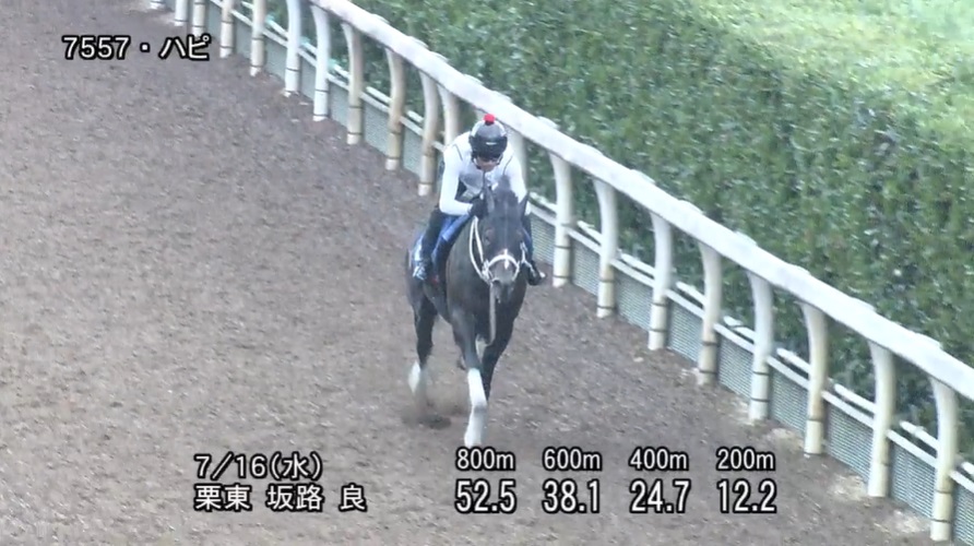 小倉記念2025 追い切り
