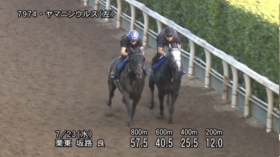 東海ステークス2025 追い切り