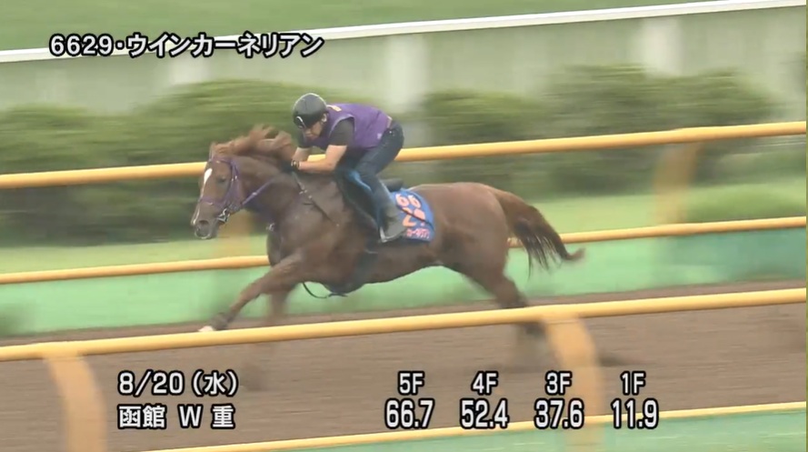 キーンランドカップ2025 追い切り