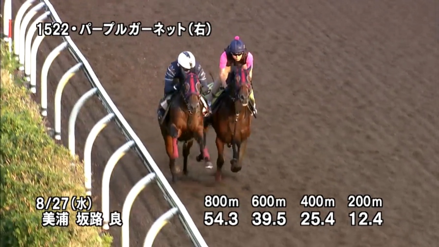 中京2歳ステークス2025 追い切り