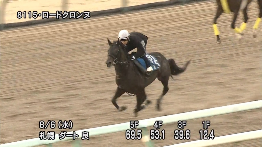 エルムステークス2025 追い切り