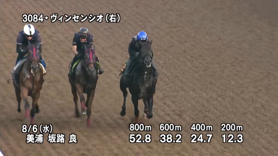 レパードステークス2025 追い切り