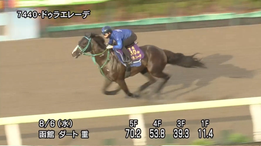 エルムステークス2025 追い切り