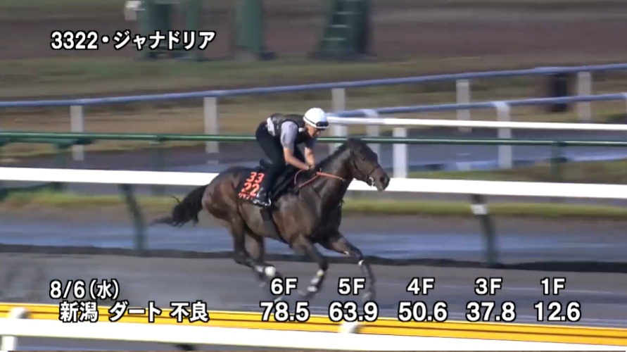 レパードステークス2025 追い切り