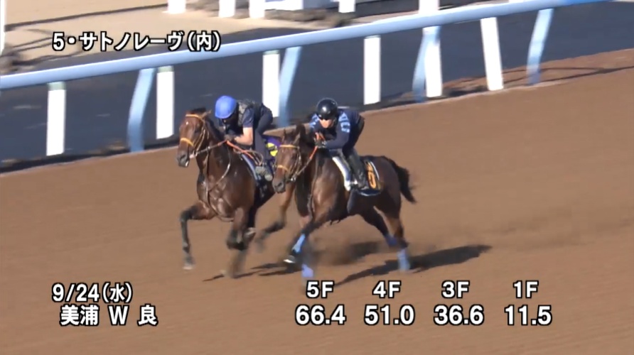 スプリンターズステークス2025 追い切り