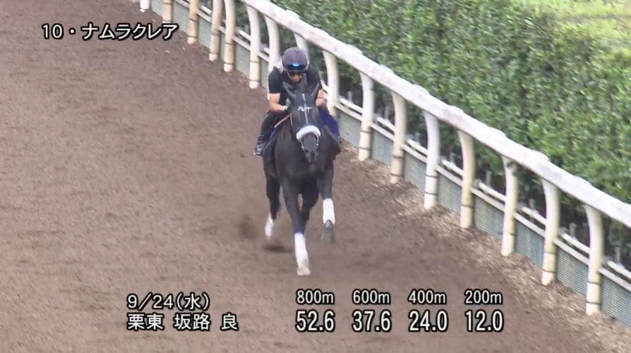 スプリンターズステークス2025 追い切り